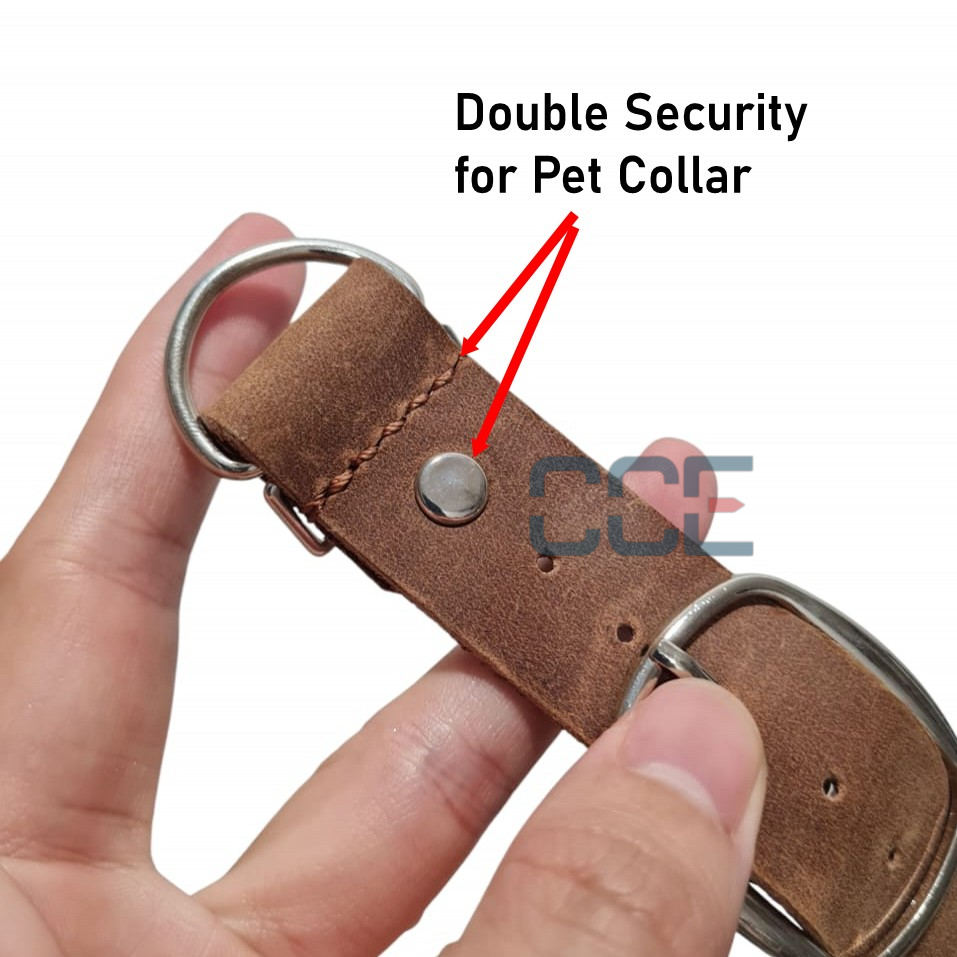 Genuine Leather Strap (for DIY Pet Collars) | CCE Plus Enterprise